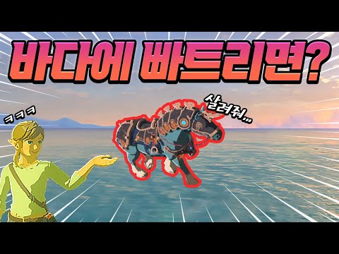 야숨 말을 바다 한가운데에 빠트리면 어떻게 될까? (젤다의 전설 야생의 숨결)