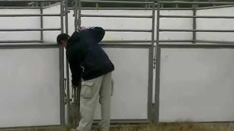 ChinookStalls.com - Step 2 Stall gate assembly