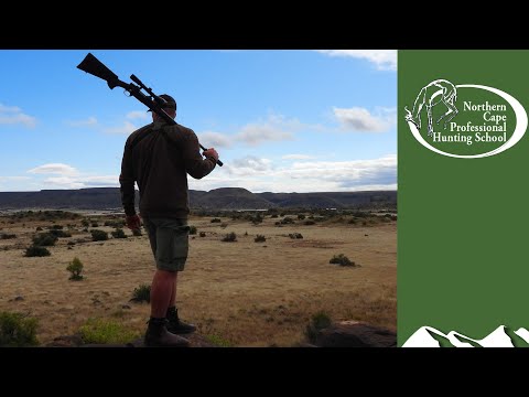 Pro hunter school: wildebeest and springbok