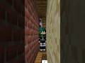 La CASA PIÙ STRETTA di MINECRAFT