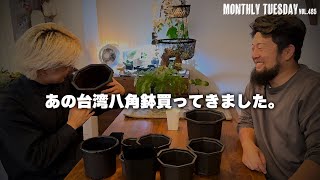 【アカベ】シマムラ園芸で台湾八角鉢が発売されたから早速買ってきた！