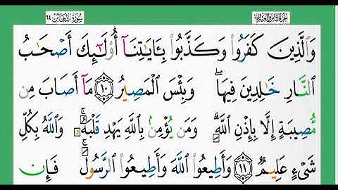 64-سورة التغابن/القارئ الشيخ الزين محمد أحمد "alqari Sheikh Al-Zain Muhammad Ahmed