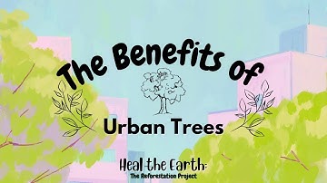 The Benefits of Urban Trees