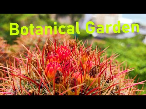 Maiori Botanical Gardens