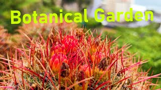 Maiori Botanical Gardens Giardino Esotico Beniamino Italy