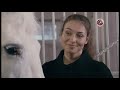 Переключение каналов Триколор 25 08 2020 Интернет вещание Переключение каналов Триколор 25 08 2020 Интернет вещание