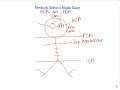 How to draw and remember the circle of willis quickly