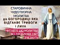 Молитва до Богородиці яка відганяє тривоги і лиха