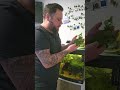 Kleine Aquarienpflege meines 180L 