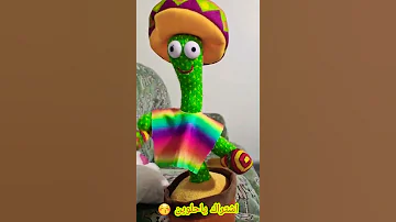 صبارة الراقصة مضحك 