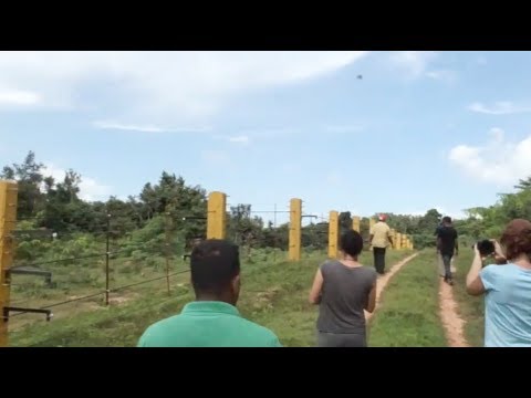 Video: Elefanti Care Ating: Reflectii Din Sri Lanka - Reteaua Matador