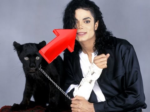 jackson