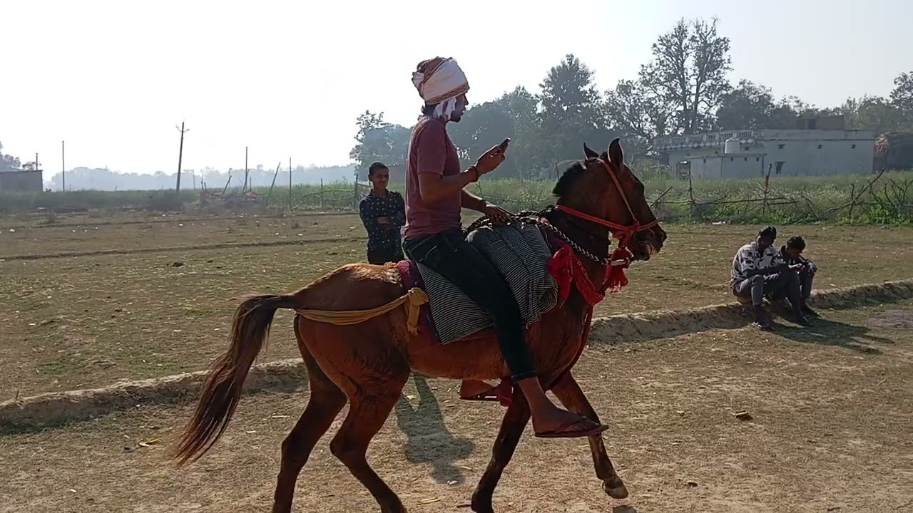 #ritek yadav ajoshi #horse#lover