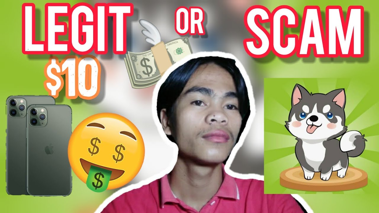 Puppy Town, Iphone 11 pro, 10 (Legit or Scam) YouTube