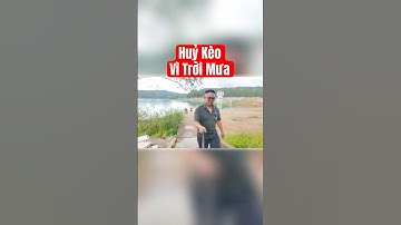 Tìm Lại Bình Yên Ở Đà Lạt: Quán Cafe Vườn Địa Đàng Chữa Lành Mọi Tâm Hồn