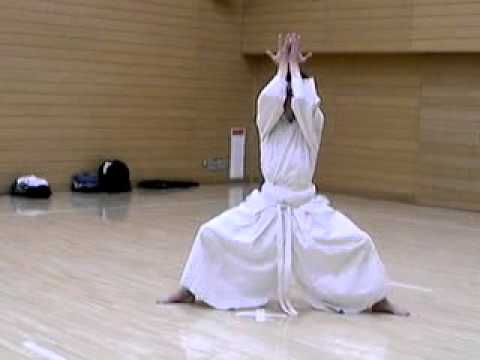 shintaido  新体道 新体道空手【太極 大・岩鶴】Shintaido Karate - YouTube
