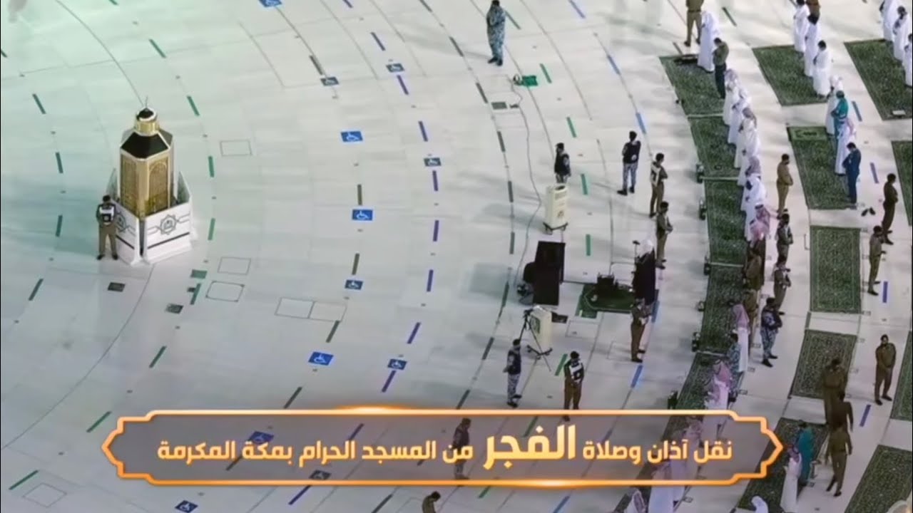 ترتيل يرق له القلب من سورة هود | فجر 17-10-1442 هـ للبلبل د. بندر بليلة
