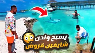 يسبح ونحن شايفين قروش ! ️