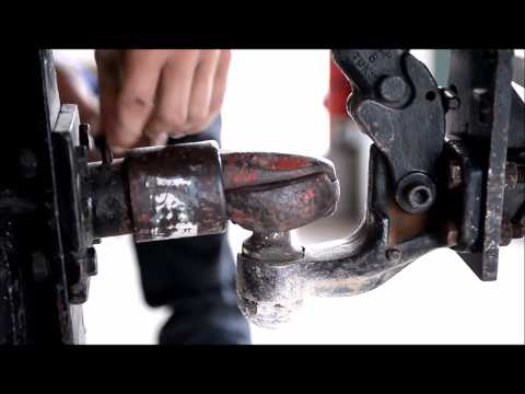 Tree Care and