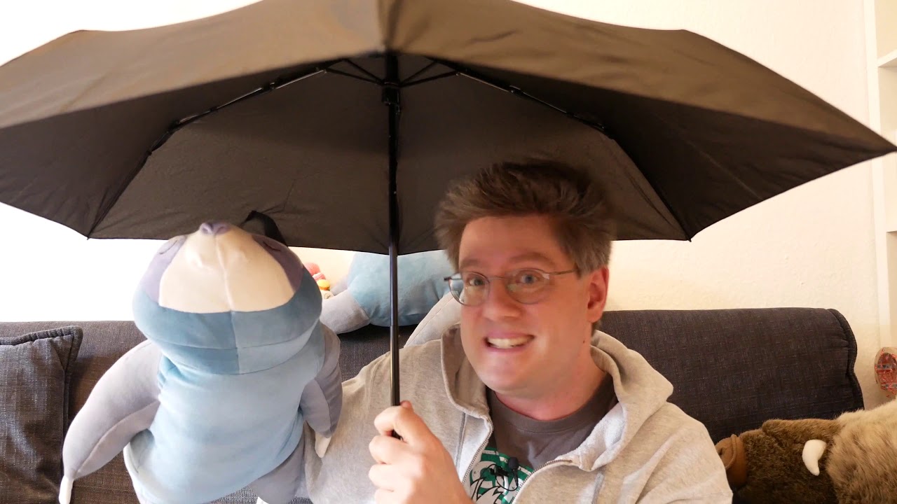 Windproof Umbrella has 60k Reviews on Amazon