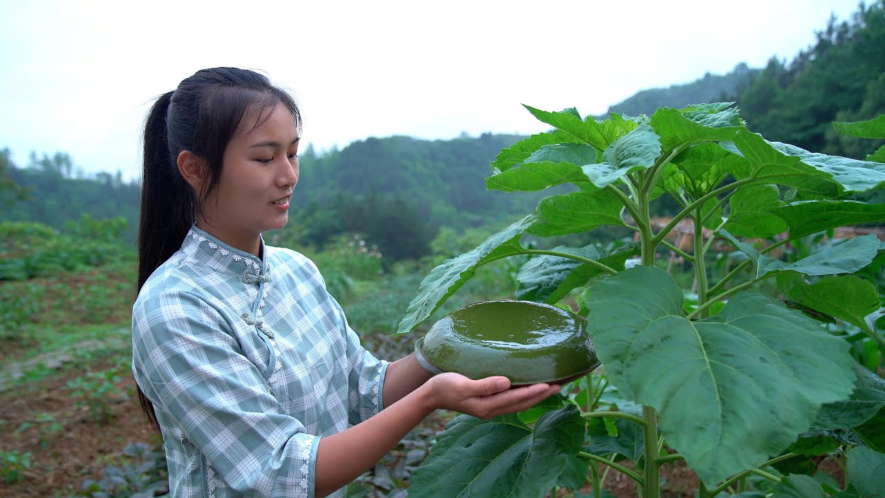 Tofu Made by Leaves: Cool Cuisine for Relieving Summer Heat!