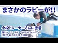 まさかのラビーが！！　小松トレーナーさんに密着！【2020年2月9日2回目　鴨川シーワールド　シャチパフォーマンス】