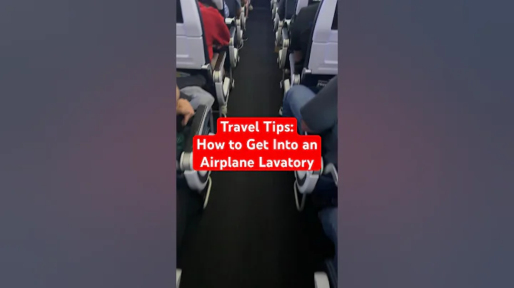 ✈️ How to Get Into the Airplane Lavatory #traveltips #flight #travelshorts