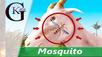 Mosquito Insect Simulator: Gameplay 3D (Kids) | Best insects Game For Android