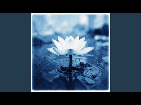 Alexia - Đứng dậy