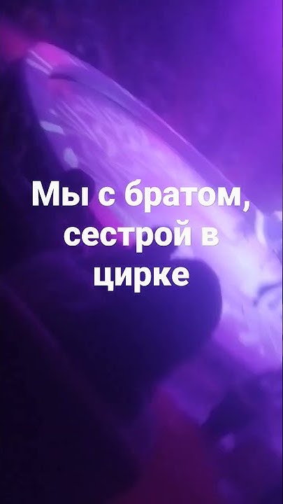 предсавление в цирке Ярослав Запашный - YouTube