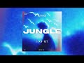 (FREE) Lil Tjay Loop Kit - "Jungle" (Stunna Gambino, J.I, NY Pain, A Boogie, Piano, Vocal Sample)