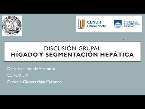 DG21 Higado y Segmentacion hepatica