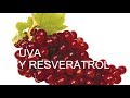 Uva y resveratrol