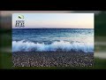 The sound of waves at mid-tide on a long, sandy beach and a few lazy bird calls recorded at Natural Bridges State Beach in Santa ...