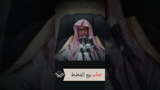 #حكم بيع القطط