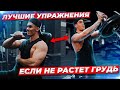 6 УПРАЖНЕНИЙ ЕСЛИ НЕ РАСТЕТ ГРУДЬ (ЛУЧШИЕ)