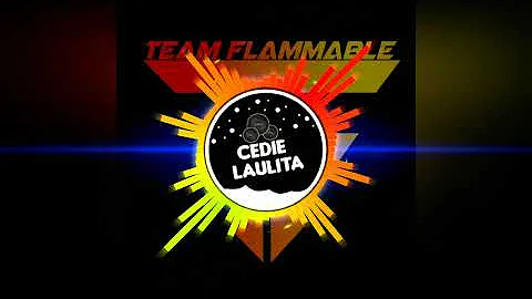 Redfoo - New Thang ( Sound Check Battle Remix ) Cedie Laulita | Team Flammable