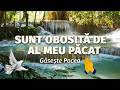 💔🙏 Sunt Obosită de al Meu Păcat ✝️✨#RugăciuneCrestină #Iertare #HarDivin#Cântare creştină