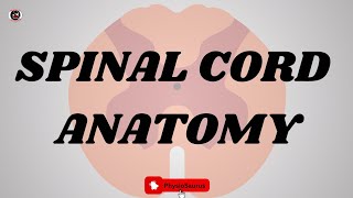 Spinal cord anatomy | Gross anatomy | Neurology | Neuroanatomy