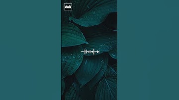 وَإِنَّ رَبَّكَ لَيَعْلَمُ مَا تُكِنُّ صُدُورُهُمْ وَمَا يُعْلِنُونَ القارئ اسلام صبحي - Islam Sobhi