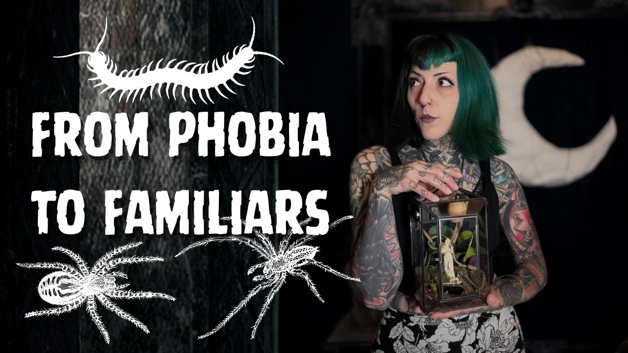 How I Overcame My Biggest Fear | GhostCraft Familiars