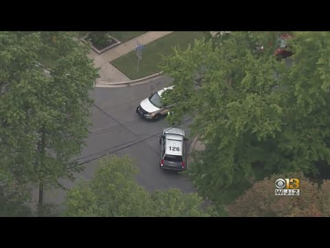 Possible Coyote Attack