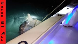 Shark Fishing South Florida in terrible conditions!