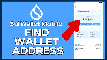 How to Find Wallet Address on Sui Wallet 2024?