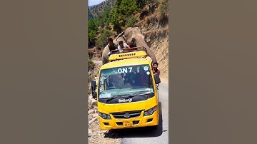 Elephant Pushes Bus 😱 Dangerous Jungle Attack on Cliff Road | Shocking AI-Generated