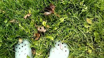 How to touch grass (tutorial)