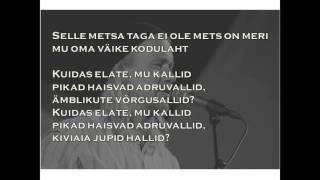 Video thumbnail of "Jaan Tätte - Vilsandi laul"