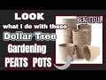 LOOK what I do with these Dollar Tree GARDENING PEATS POTS | BEAUTIFUL DIY