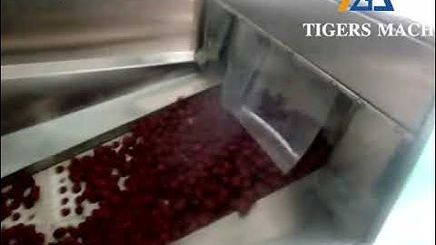 Automatic red date seed removing machine from jujube core pitting removed equipment