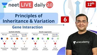 NEET: Principles of Inheritance & Variation - L6 | Live Daily 2.0 | Unacademy NEET | Pradeep Sir